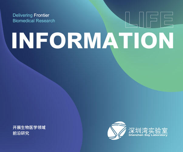 上海logo設計公司論酒店傳統與現代設計的完美融合
